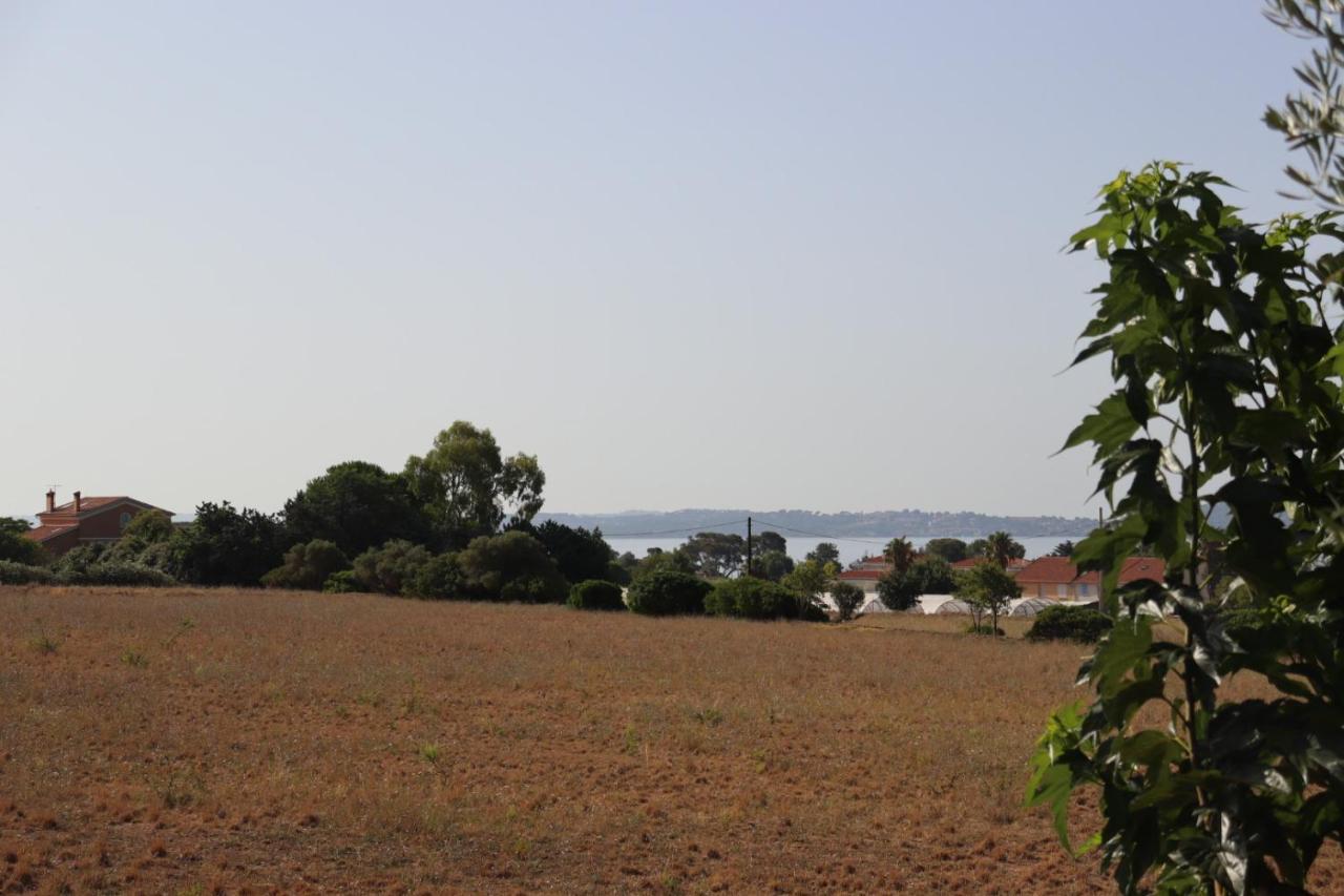 Le Petit Sud Διαμέρισμα Carqueiranne Εξωτερικό φωτογραφία